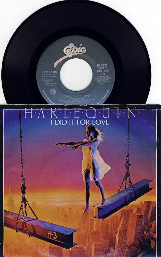 I Did It For Love
                              45 RPM Single