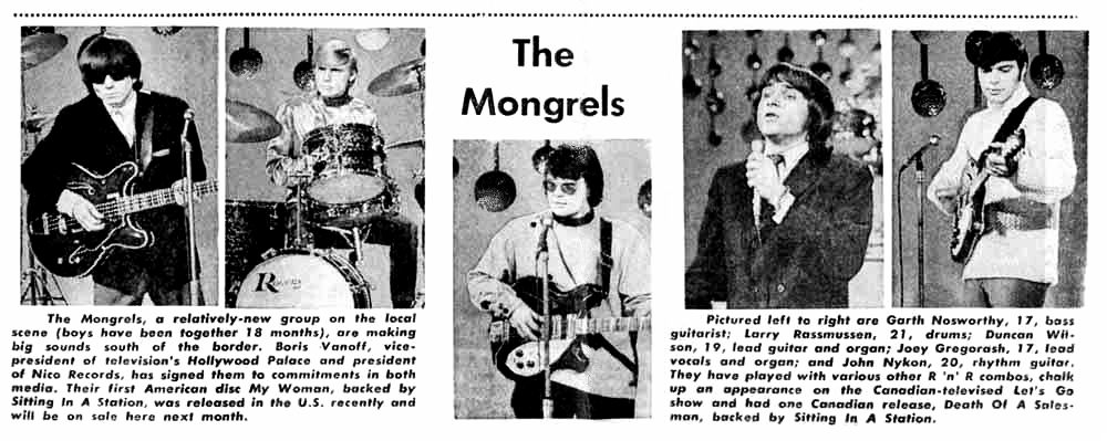 The Mongrels