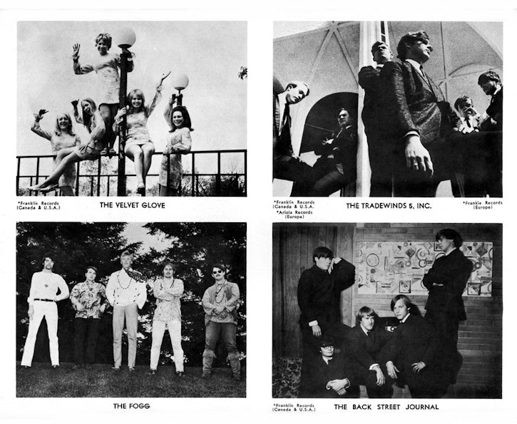 The Velvet Glove, The Tradewinds 5, Inc., The Fogg, The Back Street Journal
